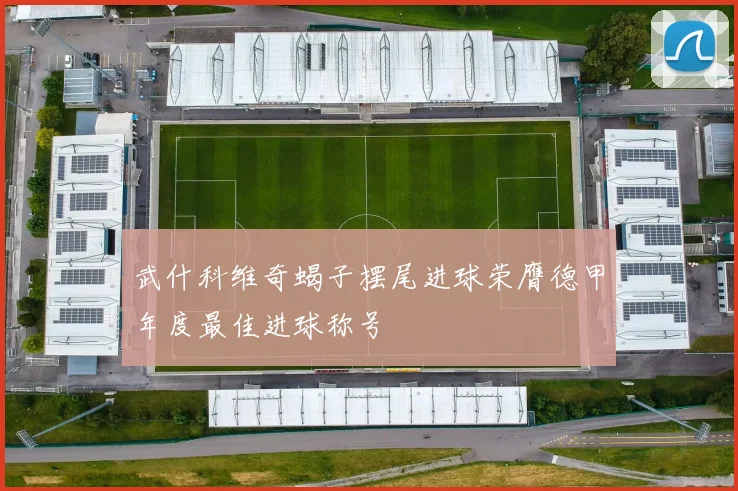 武什科维奇蝎子摆尾进球荣膺德甲年度最佳进球称号